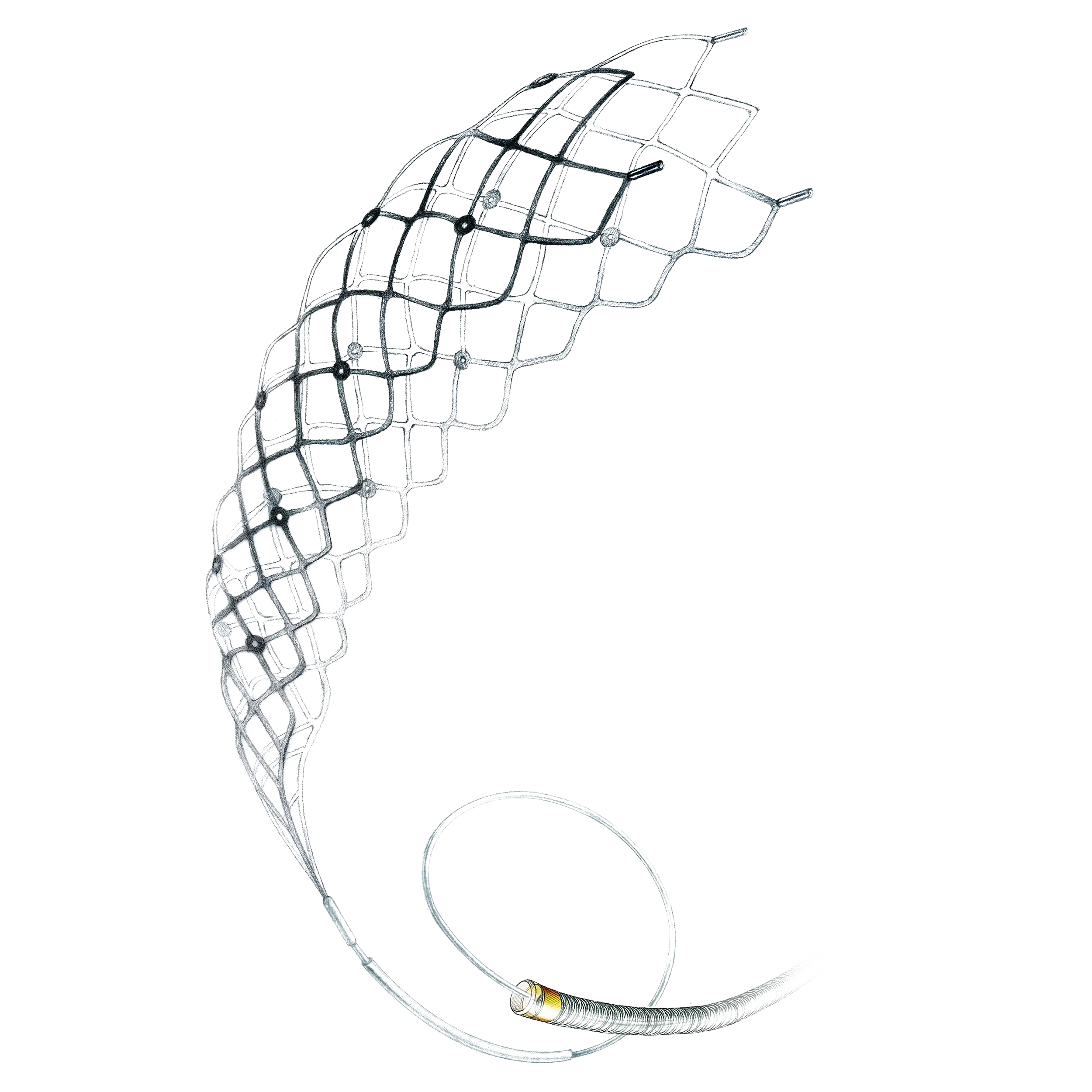 CatchView-dessin (1)